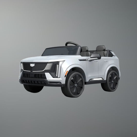 Rovelo 24V 2-Seater Kids Ride-On Truck/Car w/ Remote & LED