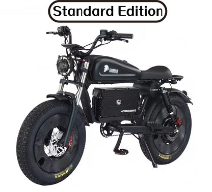 RS 3000W Electric Off-Road Bike | 60V 50Ah Fat Tire E-Bike