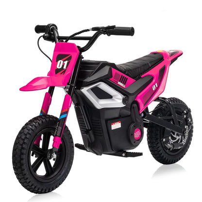 24V 350W Kids Electric Dirt Bike for Ages 6–14 | 14 MPH | Kids Rider